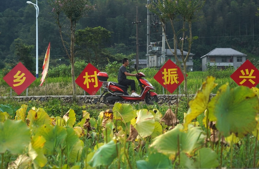 2023年8月24日拍攝的江西省靖安縣璪都鎮(zhèn)港背村一景。該村在當(dāng)?shù)卣С窒?，修古建，建民宿，搞開發(fā)，引進(jìn)竹筏漂流、觀光采摘、農(nóng)耕體驗(yàn)、森林研學(xué)等多種旅游業(yè)態(tài)，建成新田園生態(tài)度假小鎮(zhèn)，發(fā)展鄉(xiāng)村旅游，走上致富路。
