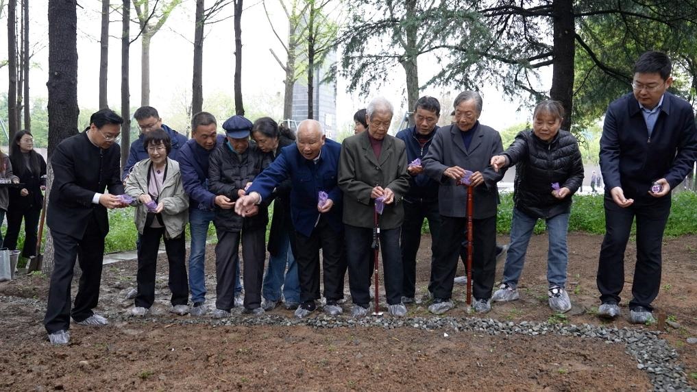 南京大屠殺幸存者代表、死難者遺屬代表等在紀(jì)念館的和平公園里，播撒下紫金草的種子。新華社記者林凱 攝