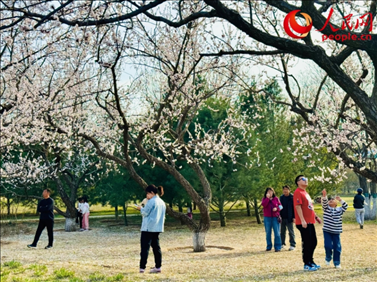 游客在北京長陽公園賞花。人民網(wǎng)記者 劉微攝