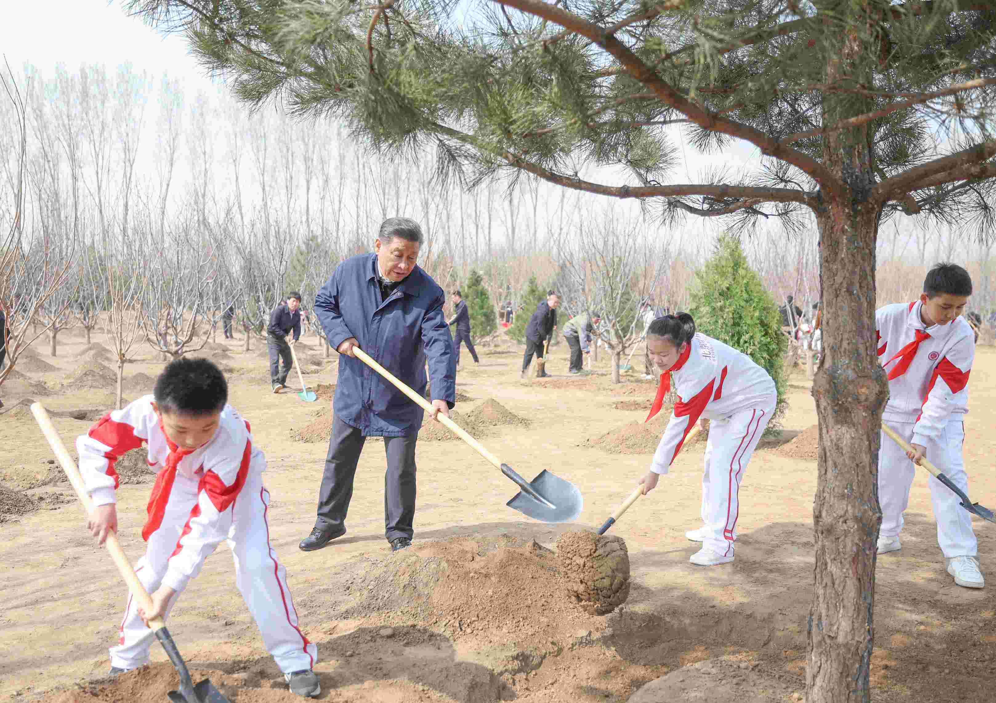 2024年4月3日，習(xí)近平總書記來到北京市通州區(qū)潞城鎮(zhèn)參加首都義務(wù)植樹活動。