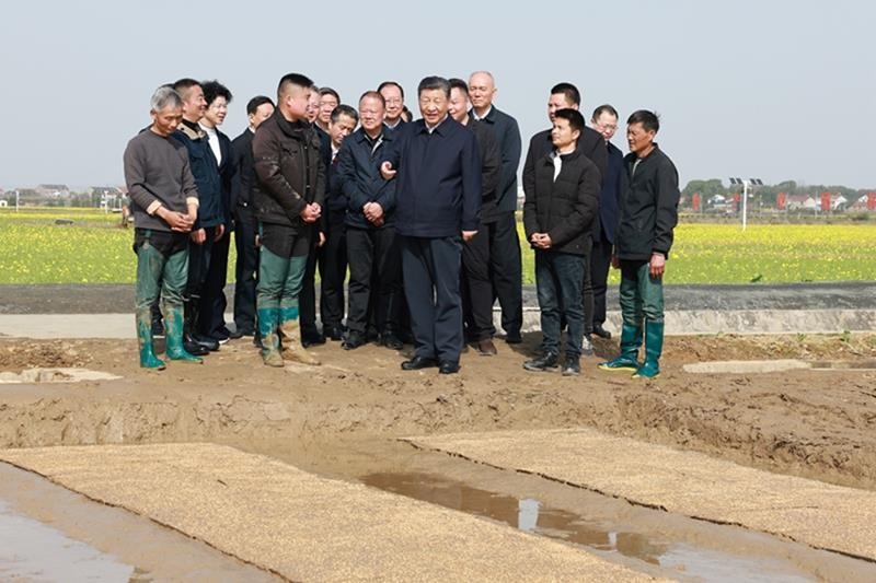 △2024年3月19日，在湖南常德市鼎城區(qū)謝家鋪鎮(zhèn)港中坪村，習(xí)近平總書記走進(jìn)田間，察看秧苗培育和春耕備耕進(jìn)展。