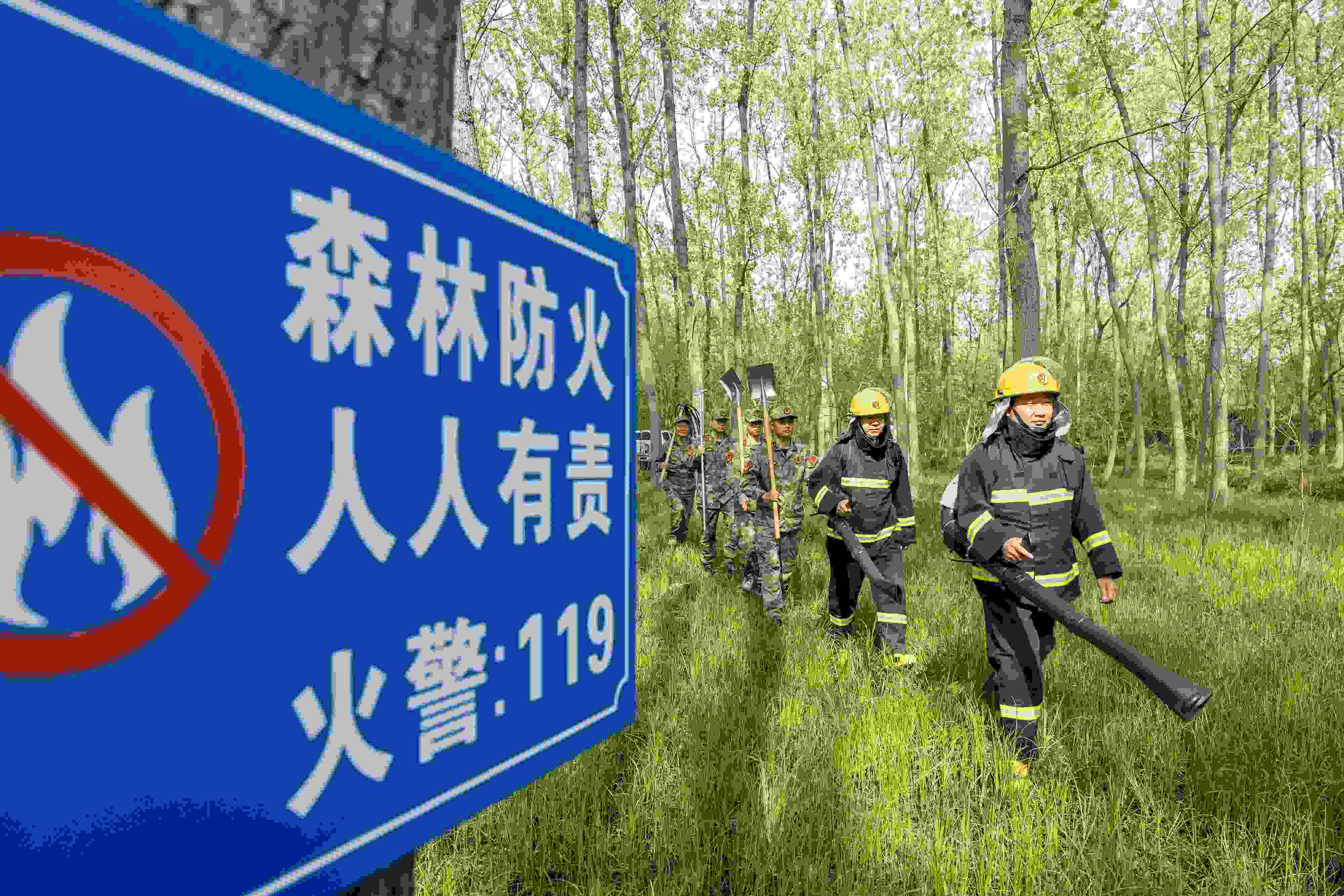 2024年4月9日，合肥市大房郢水庫水源保護(hù)地廬陽經(jīng)濟(jì)開發(fā)區(qū)段，基干民兵正在林間巡查火災(zāi)隱患。