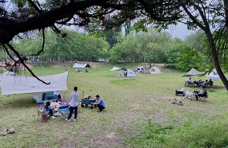 “自駕+露營”等多元模式受熱捧。人民網(wǎng)記者 王連香攝