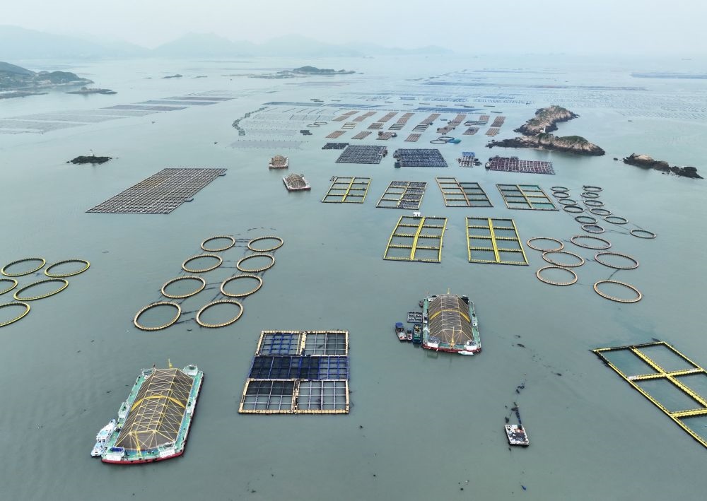 在福建連江定海灣海域，坐落著“定海灣1號(hào)”“定海灣2號(hào)”等深遠(yuǎn)海養(yǎng)殖平臺(tái)（2024年5月7日攝，無(wú)人機(jī)照片）。新華社記者 林善傳 攝