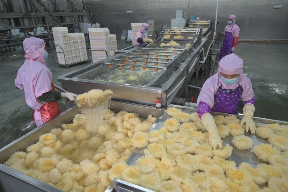 2024年5月10日，在福建省寧德市古田縣，一家食品公司的工作人員在挑選清洗銀耳。新華社記者 林善傳 攝