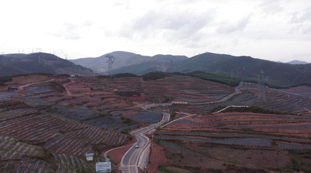 火普村的藍(lán)莓基地一角（無人機照片）。新華社記者 尹恒 攝