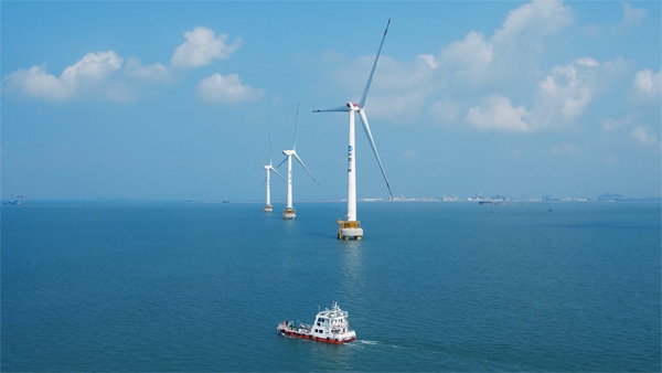 福建興化灣海上風電場。受訪者供圖