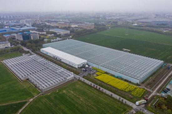 2024年3月28日，空中俯瞰嘉興南湖區(qū)湘家蕩農(nóng)業(yè)數(shù)字化工廠（無人機照片）。該農(nóng)業(yè)數(shù)字化工廠占地總面積約62畝，包含智慧農(nóng)業(yè)生產(chǎn)、物聯(lián)網(wǎng)智能管理、自動分揀包裝、保鮮儲藏物流、高科技示范展示等五大功能區(qū)，可直接或間接培養(yǎng)帶動新型職業(yè)技術(shù)農(nóng)民500人以上。新華社記者 徐昱 攝