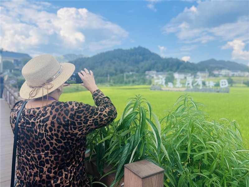 “我在花茂有塊田”，不僅是中國(guó)人的詩(shī)和遠(yuǎn)方，也是塔吉克斯坦“阿維斯塔”通訊社總編輯占納特洪·庫(kù)爾班諾娃的“烏托邦”。（張亞欣攝）