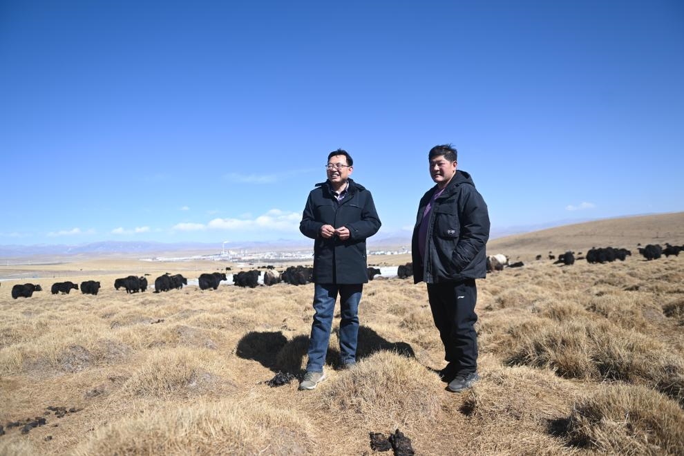 2023年2月24日，在青海省海北藏族自治州海晏縣青海湖鄉(xiāng)達(dá)玉日秀村，全國人大代表董全民（左）查看牧民東知布家的草場。新華社記者 張龍 攝