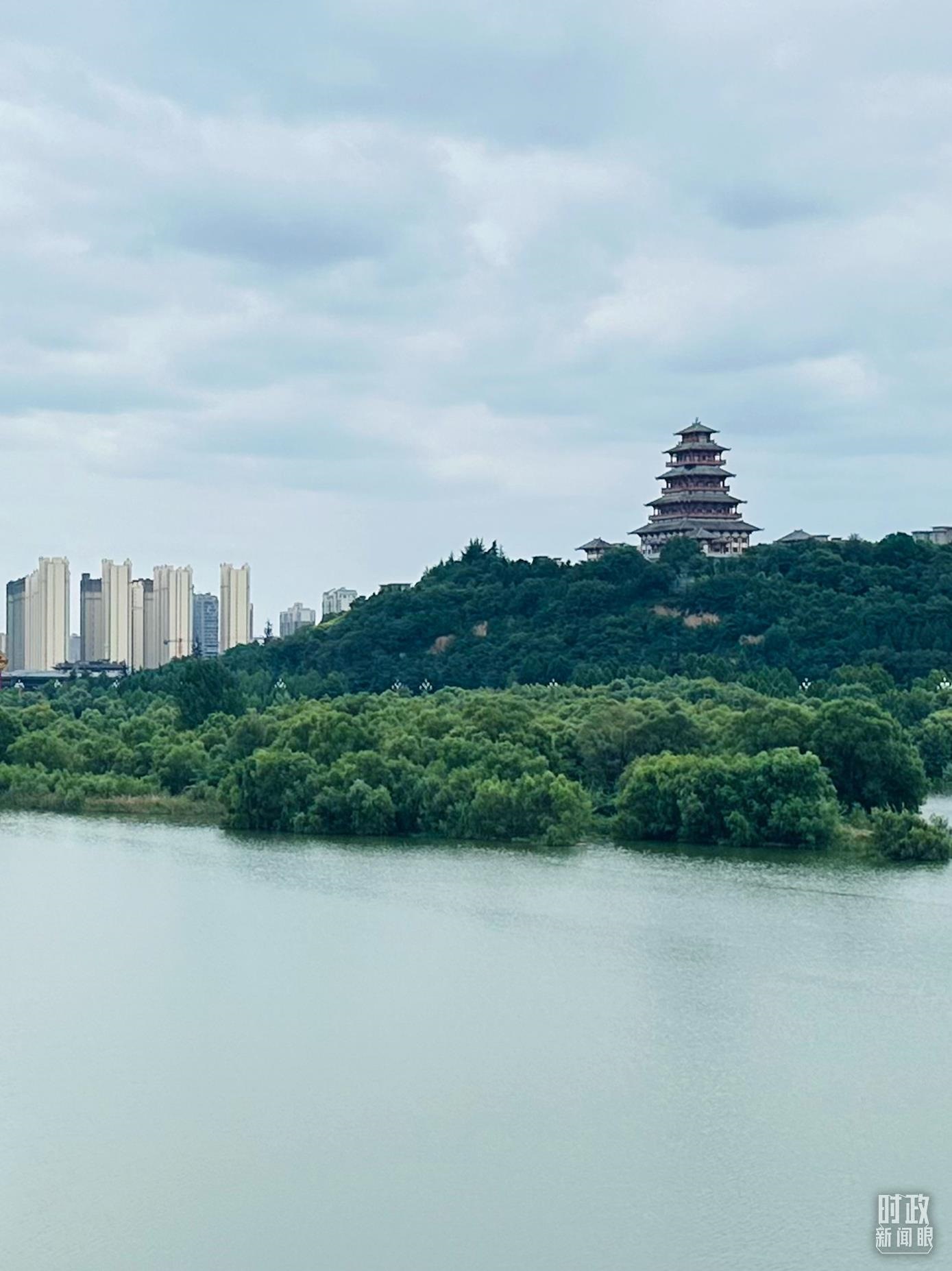 △渭河寶雞段長224公里，目前建成17處渭河灘區(qū)生態(tài)涵養(yǎng)區(qū)。（總臺央視記者范一鳴拍攝）