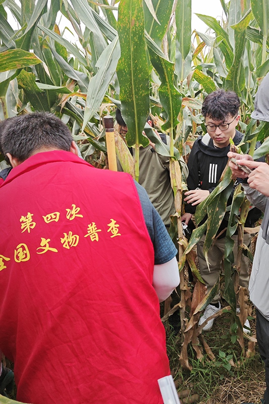 普查隊員正在使用探鏟進行探測。中國文物報供圖