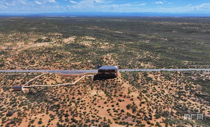 古浪縣一代代人治沙不息,讓綠色向沙漠深處不斷延伸(央廣網(wǎng)記者 李紅軍 攝)