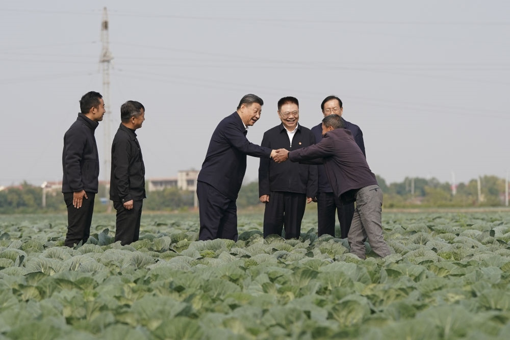 2024年11月5日，習(xí)近平在咸寧市嘉魚縣潘家灣鎮(zhèn)十里蔬菜長廊考察時，同菜農(nóng)親切交流。