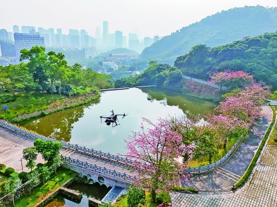 無(wú)人機(jī)在深圳塘朗山郊野公園里巡檢。新華社發(fā)