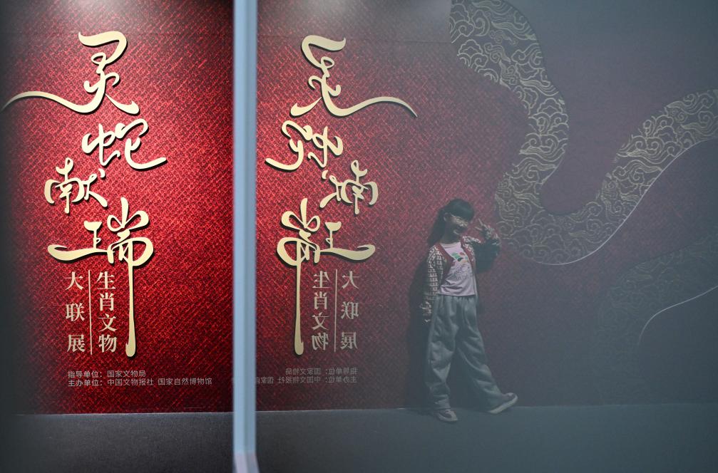 1月18日，一名小朋友在國家自然博物館舉辦的“靈蛇獻瑞——2025乙巳蛇年生肖文物大聯(lián)展”展覽中拍照留念。（新華社記者 陳鐘昊 攝）
