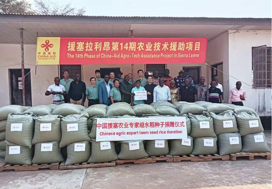 中國援塞拉利昂農業(yè)專家組在塞南方省博城舉辦水稻種子捐贈儀式。中國援塞農業(yè)專家組供圖