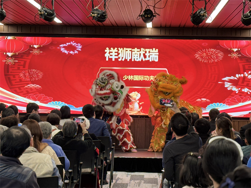 活動(dòng)現(xiàn)場(chǎng)舞獅表演。主辦方供圖