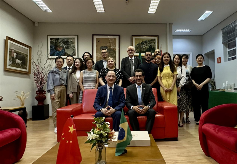 圖為參加座談會的來賓合影留念。 圣保羅州立大學孔子學院供圖