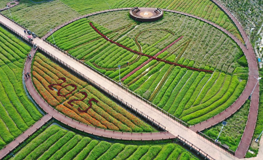 這是3月21日拍攝的瓊海博鰲南強(qiáng)村景色（無人機(jī)照片）。新華社記者 郭程 攝