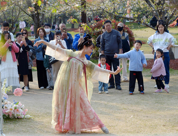 清明假期期間，上海顧村公園櫻花島上，游客在觀賞國風漢服快閃表演。（圖片來源：視覺中國）