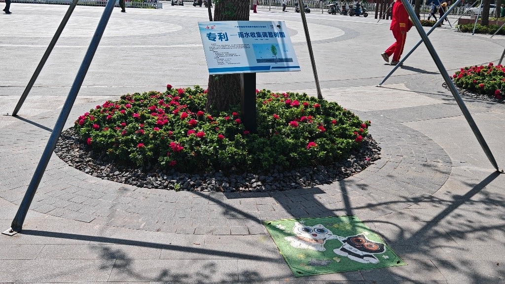廣安“雨水收集調(diào)蓄樹池”，已在市內(nèi)公園落地運用。受訪者供圖