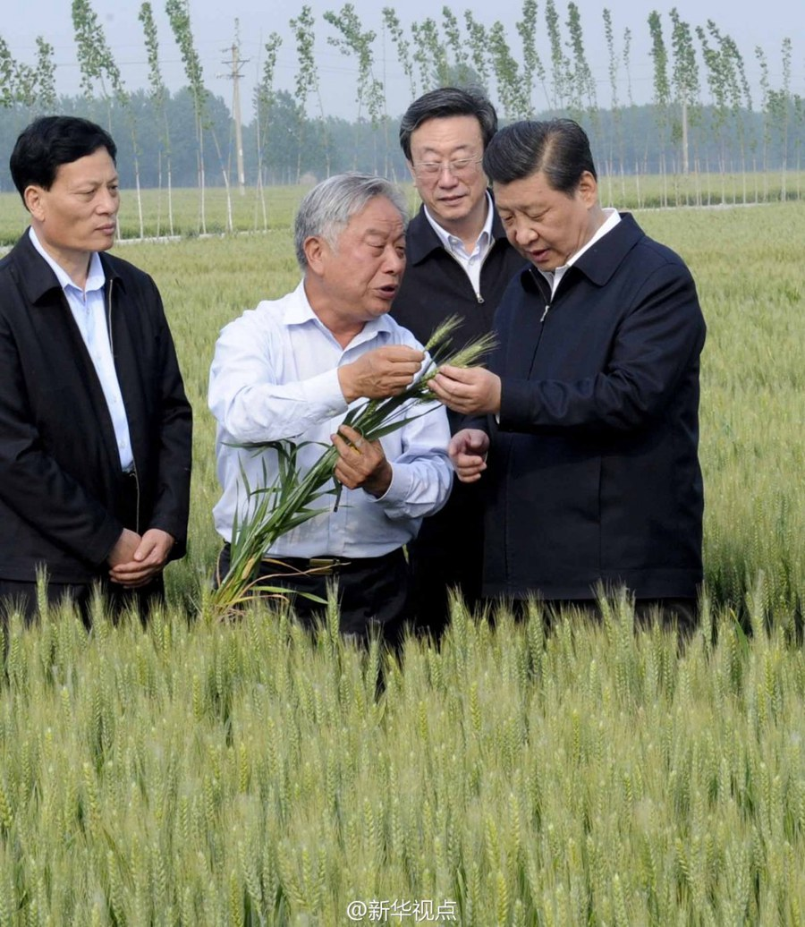 2014年5月，習(xí)近平總書記在河南省尉氏縣張市鎮(zhèn)高標(biāo)準(zhǔn)糧田察看小麥長(zhǎng)勢(shì)。