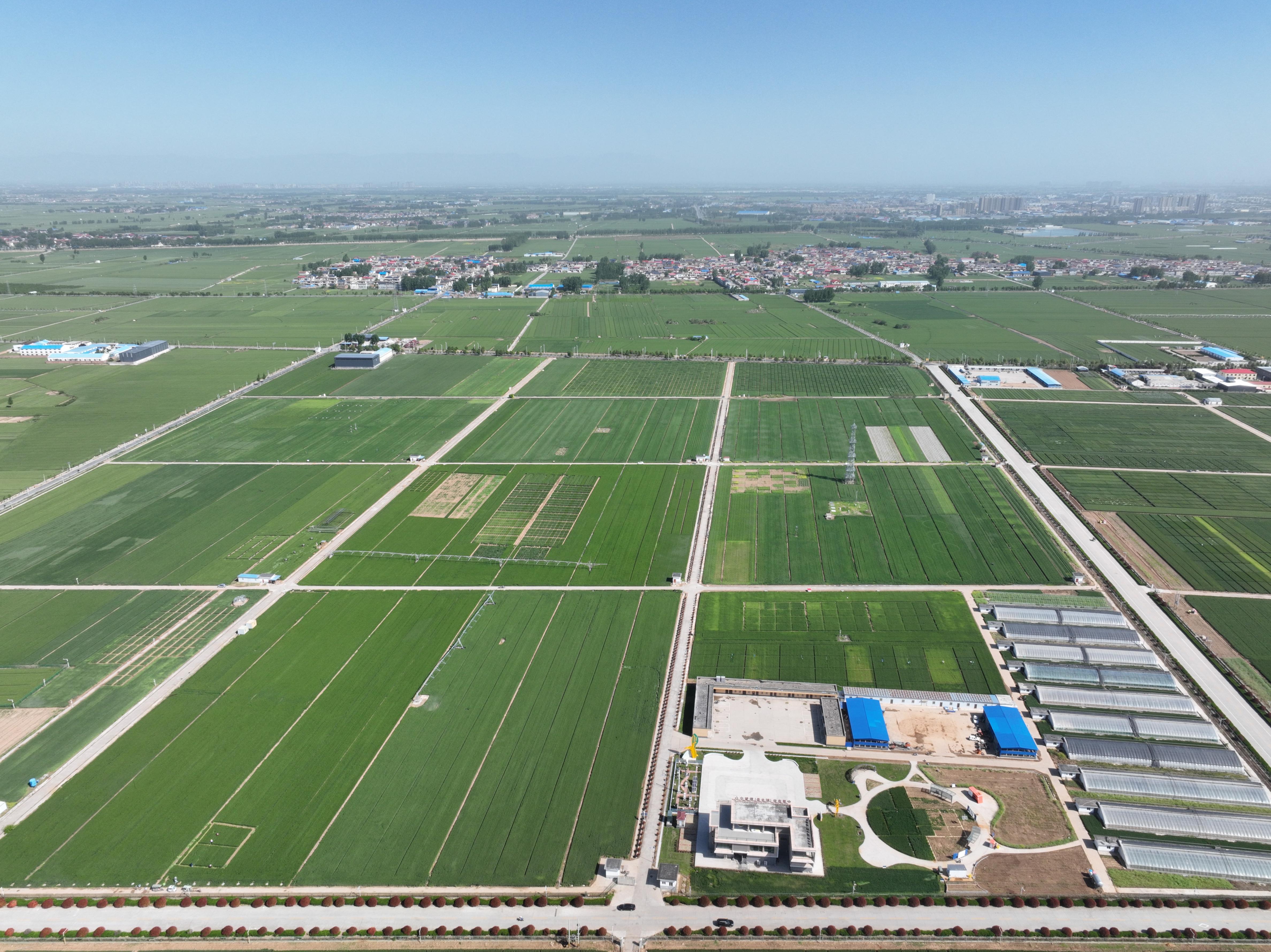 俯瞰水利部灌溉試驗總站試驗研究基地。受訪者供圖