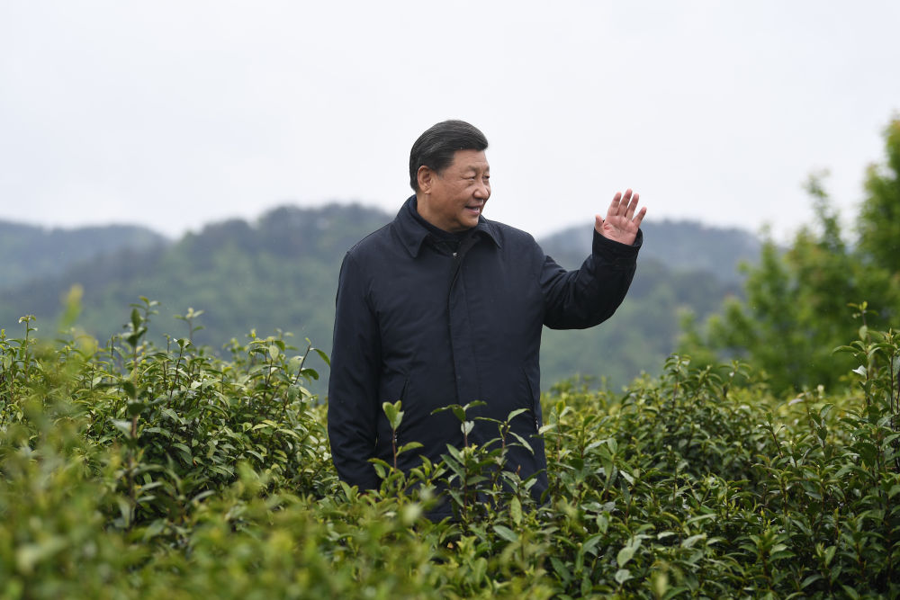 2020年4月21日，習近平總書記來到陜西安康市平利縣老縣鎮(zhèn)，在茶園考察脫貧攻堅情況。新華社記者 燕雁 攝
