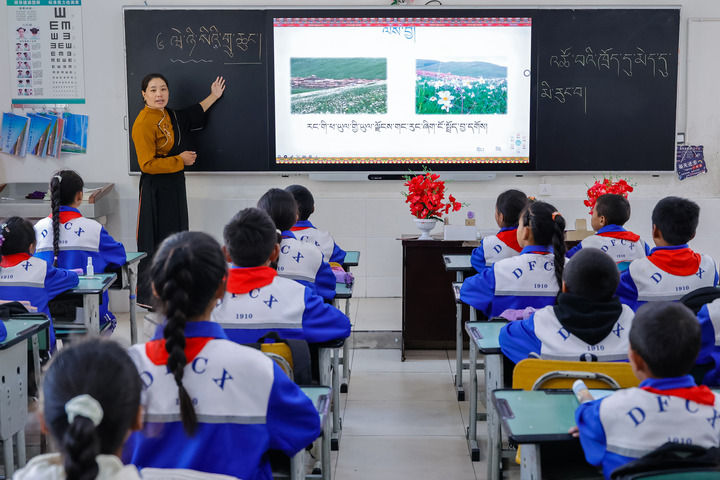 2024年9月27日，在四川省甘孜藏族自治州道孚縣城關(guān)第一完全小學(xué)，采取“藏加模式”教學(xué)的五年級一班的藏語文課上，準(zhǔn)木周老師指導(dǎo)藏族學(xué)生以家鄉(xiāng)草原風(fēng)物為主題寫作藏語文作文。新華社記者 沈伯韓 攝